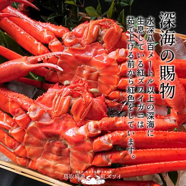 かに 境港 紅ズワイガニ 姿1kg［2-3杯］新物 漁解禁 冷蔵 浜ゆで ゆでがに チルド ベニズワイガニ 日本海 鳥取県産［産直 海鮮ギフト］の画像