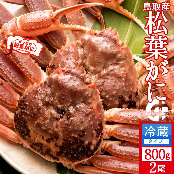 松葉蟹 かに 松葉ガニ 特大800g×2尾セット 活ガニ 生き蟹 鳥取県産 ブランドタグ付きマツバガニ ズワイガニ［お歳暮 2023 ギフト 御歳暮］