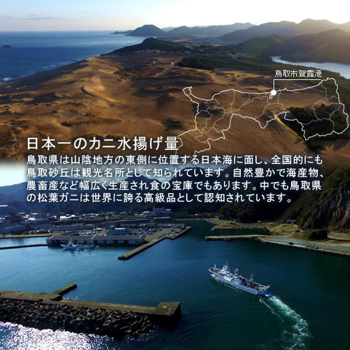 【〜6/6まで出品】 松葉蟹 かに 松葉ガニ 特大800g×2尾セット 活ガニ 生き蟹 鳥取県産 ブランドタグ付きマツバガニ ズワイガニ［お歳暮 2023 ギフト 御歳暮］ 【Y1168068127】(41718円)