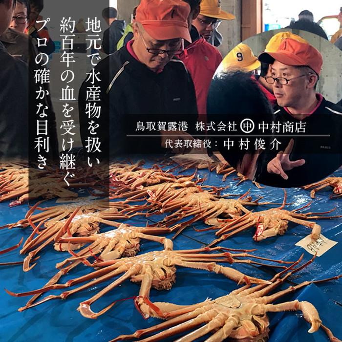 【〜6/6まで出品】 松葉蟹 かに 松葉ガニ 特大800g×2尾セット 活ガニ 生き蟹 鳥取県産 ブランドタグ付きマツバガニ ズワイガニ［お歳暮 2023 ギフト 御歳暮］ 【Y1168068127】(41718円)