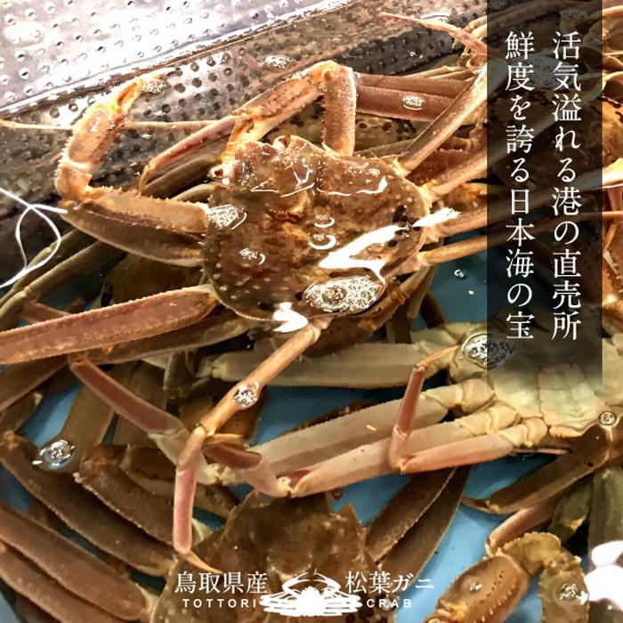 【〜6/6まで出品】 松葉蟹 かに 松葉ガニ 特大800g×2尾セット 活ガニ 生き蟹 鳥取県産 ブランドタグ付きマツバガニ ズワイガニ［お歳暮 2023 ギフト 御歳暮］ 【Y1168068127】(41718円)