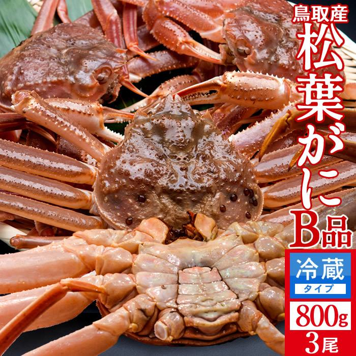 松葉蟹 かに 訳あり 松葉ガニ［B品］特大800g×3尾セット 活ガニ 生き蟹