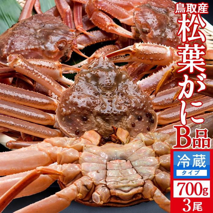 松葉蟹 かに 訳あり 松葉ガニ［B品］大700g×3尾セット 活ガニ 生き蟹
