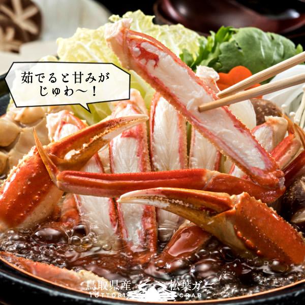松葉蟹 かに 松葉ガニ 大600g 活ガニ 生き蟹 鳥取県産 ブランドタグ