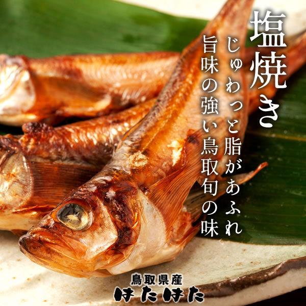 はたはた ハタハタ 約2kg 45 50匹 生 鳥取県 山陰沖産 加熱用 脂乗り抜群 鰰 一夜干し フライ 煮つけ 鍋物 朝どれ ギフト 産地直送 送料無料 Karokani Hatahata2 かろ かに市場 通販 Yahoo ショッピング