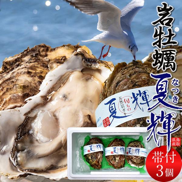 牡蠣 いわがき 特大 鳥取県産 天然岩牡蠣 ランキングtop5 夏牡蠣 帯付 3個 夏輝 なつき ブランド 海のミルク 8月まで 生食用 カキフライ お中元 朝採れ 産地直送 送料無料