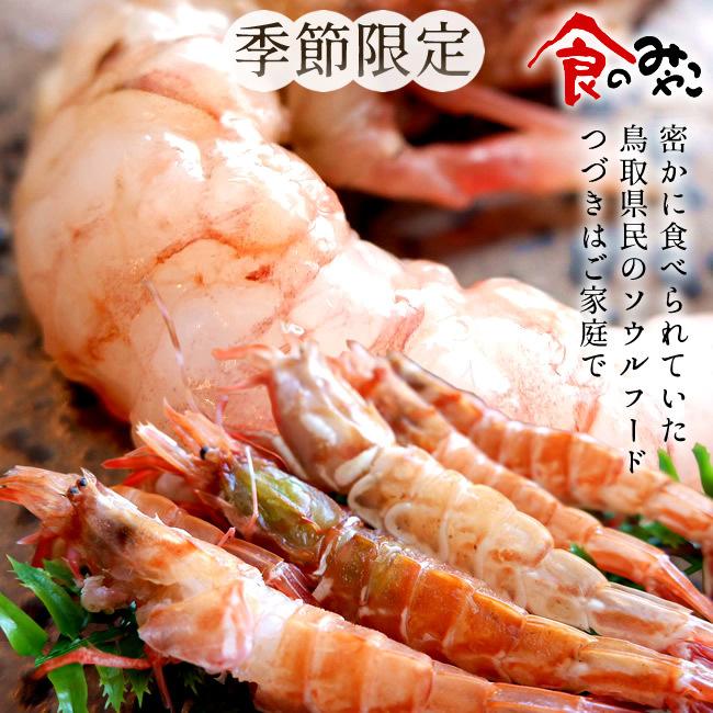 モサエビ 500g(約20尾) 猛者えび 鳥取県産 幻のえび 日本海 旨味が強い