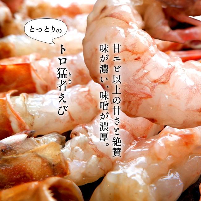 モサエビ 500g(約20尾) 猛者えび 鳥取県産 幻のえび 日本海 旨味が強い