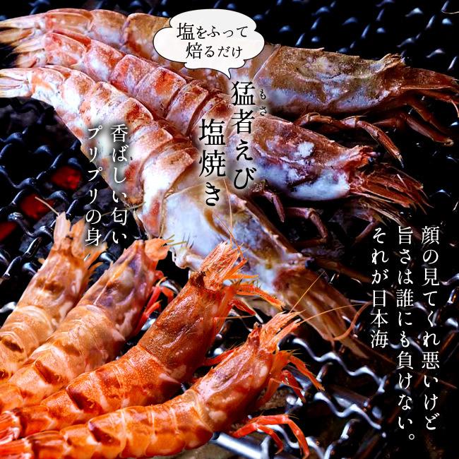 モサエビ 500g(約20尾) 猛者えび 鳥取県産 幻のえび 日本海 旨味が強い