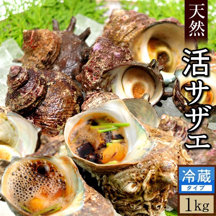 極上 調味料入れ トヒサエ 東岩7-0826☆2F パワートーチ RZ-720E - Shinfuji Burner