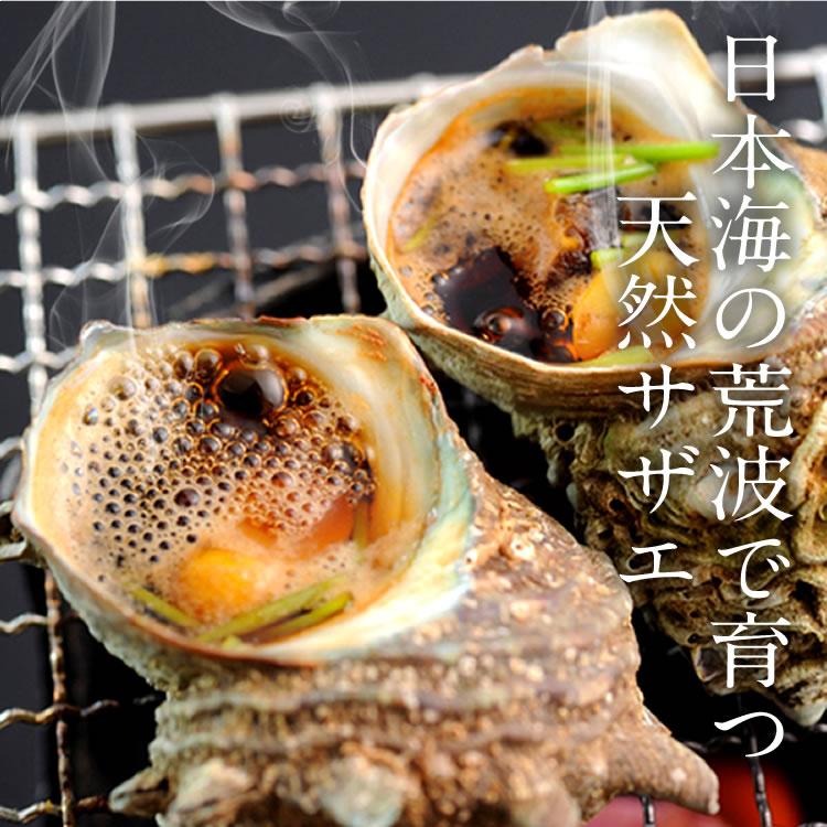 極上 調味料入れ トヒサエ 東岩7-0826☆2F パワートーチ RZ-720E - Shinfuji Burner