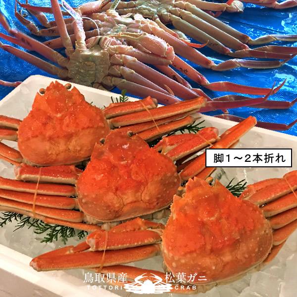 松葉蟹 かに 訳あり 松葉ガニ［B品］大600g×3尾セット 浜ゆで ゆでがに