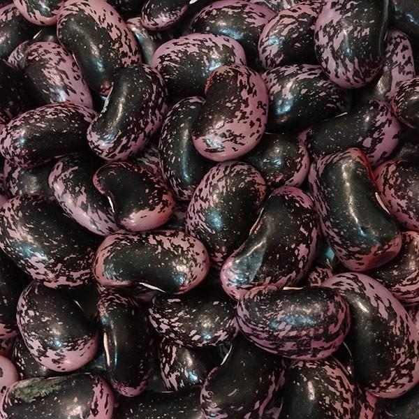 高原花豆 (500g) 令和7年産群馬県産 【メール便対応】 : 松葉屋 - 通販