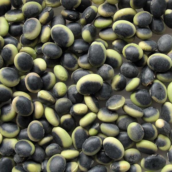 鞍掛豆 (500g) 長野県産令和3年産 【メール便対応】|matsubayashoten|02