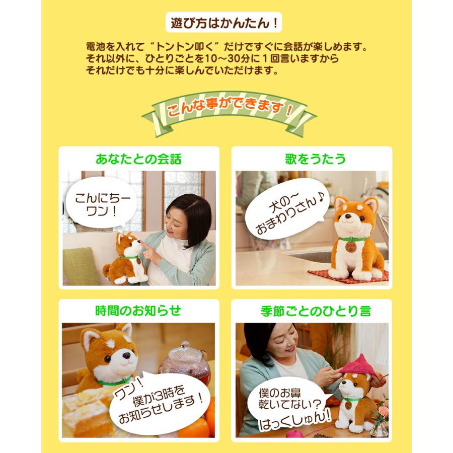 こんにちワン！しばいぬコウタ バンダナ付セット しゃべる 電池付き 犬