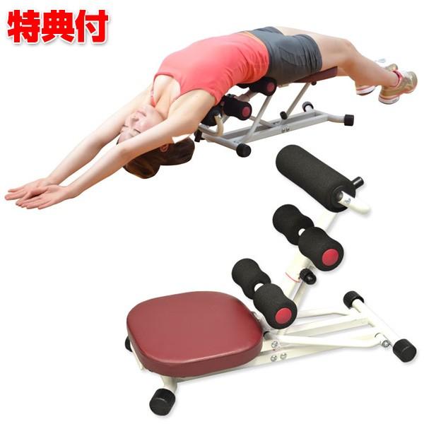 全国組立設置無料 ボディチェア Lw G3221 背筋ストレッチ 背筋 伸ばす 伸ばし 姿勢 腹筋 運動 健康維持 フィットネス エクササイズ 自宅で運動 ホーム フィットネス れ 人気no 1 本体 Altammamfactory Com Jo