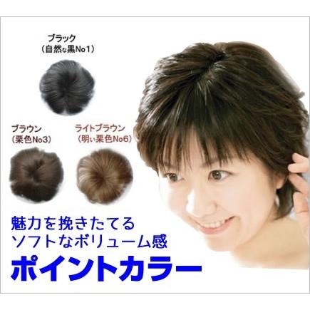 ポイントヘア Sサイズ ヘアウィッグ 部分ウィッグ つむじ トップ 頭 