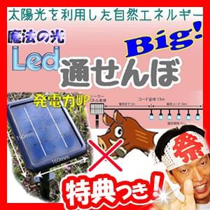 魔法の光LED通せんぼBIG ソーラー充電式 イノシシ撃退装置 青色LED光点滅 イノシシ防止 イノシシ退治 害獣対策 太陽光充電 いのしし対策