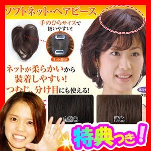 ソフトネットヘアピース SO-110 ヘアピース ウィッグ 部分ウィッグ ポイントウィッグ ミニヘアピース