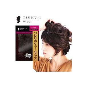 つむじウィッグ Tsumuji Wig 部分ウィッグ 部分かつら ヘアピース ヘアーウィッグ おでかけ前の10秒で装着 気になる れ Prettyfunnyballoons Com