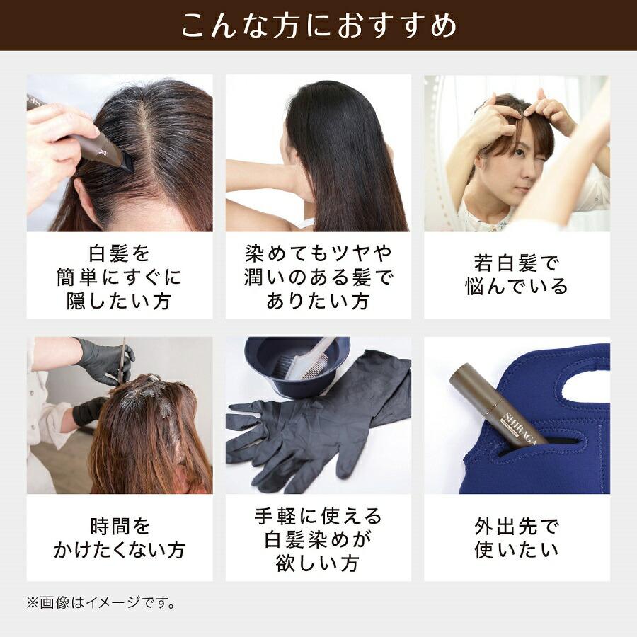 シラガネーゼ ポイントリッチカラーEX 白髪染め 白髪隠し 女性 男性