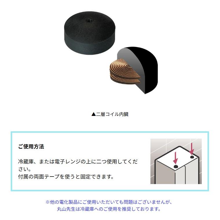 話題の品 丸山式コイル 二重コイル ブラックアイW 2個入 ブラックアイ