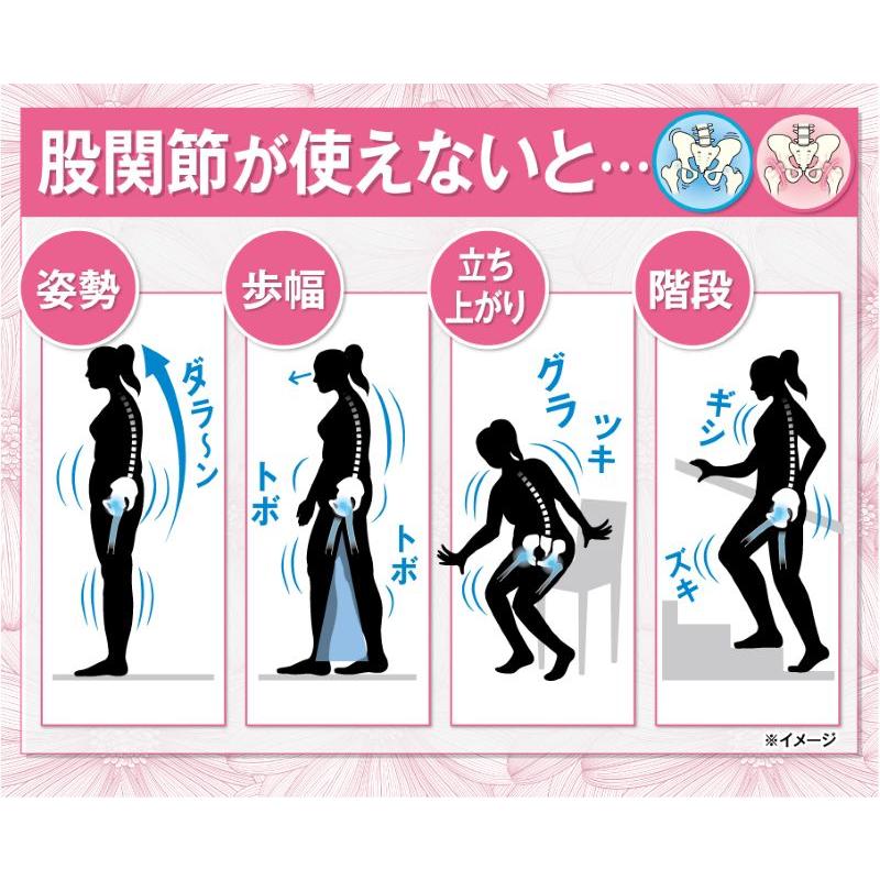 TVで紹介 2枚セット 柔ら美人 骨盤ベルト付き 股関節ショーツ 同色 同