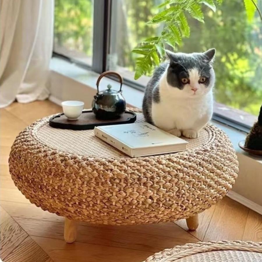 せいここたちゃん オールドヴィンテージ トーネット カフェ