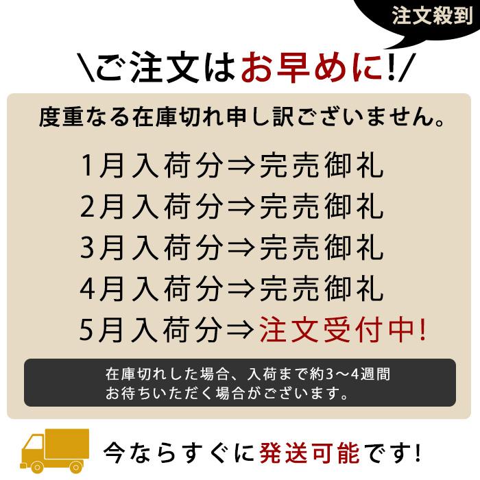 キズ消し セルフ フロントガラス 車 ガラス 自分で 家で 自宅 飛び石 修理 傷消し 窓 リペア｜matsudozakkaya｜16