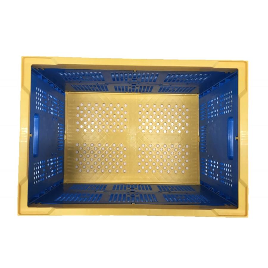 松本産業 折りたたみコンテナ 網目 50L イエロー / ブルー ( 50AYB ) カードホルダー付き