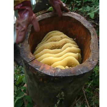 国産蜂蜜 -蜜匠シリーズ-「日本ミツバチのはちみつ」600g : 松治郎の舗