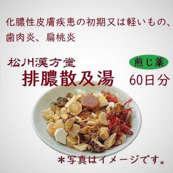 注目ブランド 漢方薬 化膿 排膿散及湯 はいのうさんきゅうとう 60日分 薬局製剤 煎じ薬 皮膚炎 アトピー できもの 歯肉炎 扁桃炎 蓄膿症 喉の痛み 122番 Mk410y60 漢方専門 山田薬局 まつかわ漢方堂 通販 Yahoo ショッピング 最新人気 Epicmountainbike Com