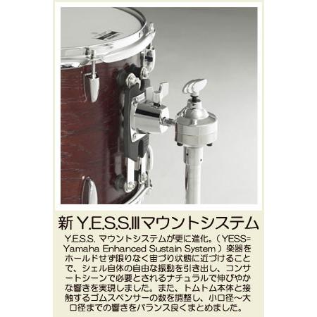 YAMAHA（ヤマハ） コンサートトムトム オーク（10インチ） CT-9010