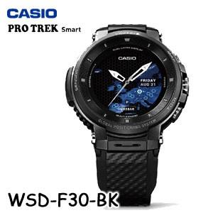 CASIO（カシオ） 【国内正規品・新品・在庫有り】 PRO TREK Smart