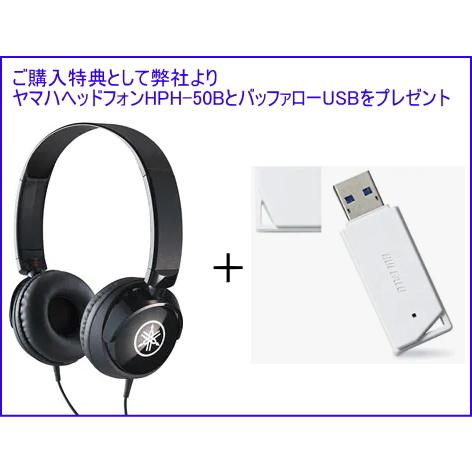 YAMAHA 九州北部地方限定 ヤマハ エレクトーン ELB-02 新品 弊社 YAMAHA 九州北部地方限定 ヤマハ エレクトーン ELB-02 新品 弊社