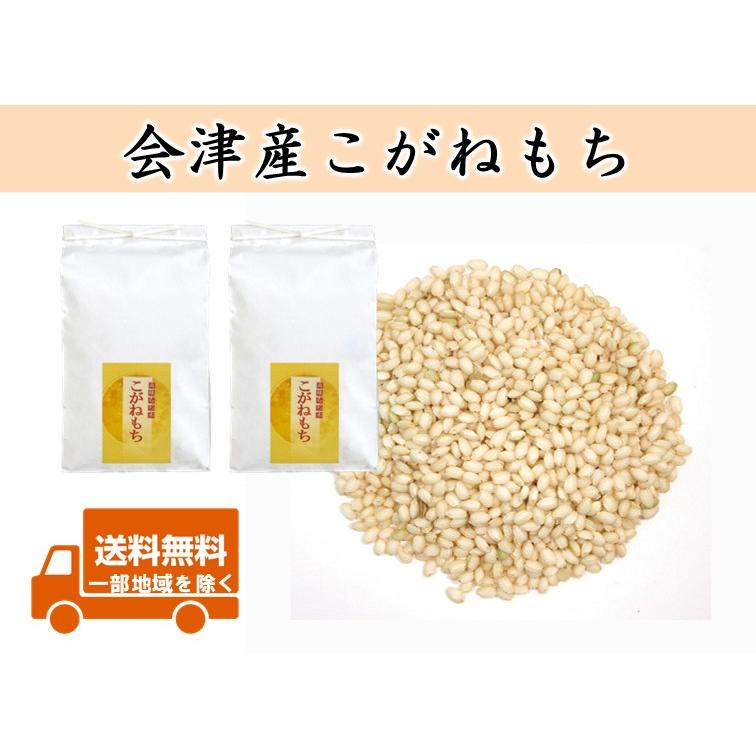 こがねもち 令和7年産 会津産 玄米20kg(10kg×2) ※袋小分け対応可 ※四国 