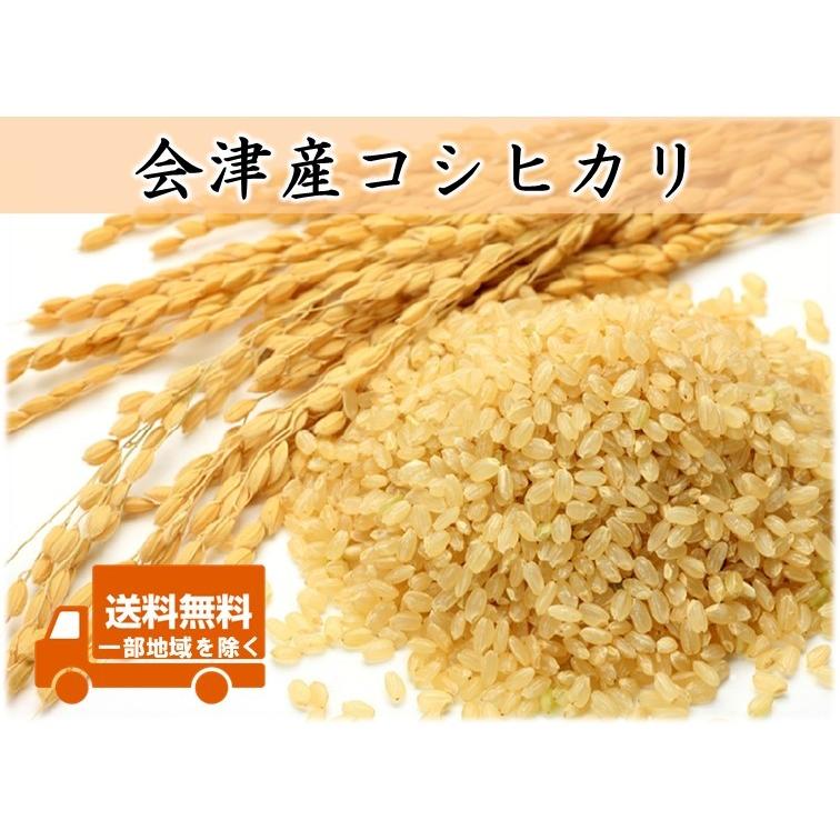 令和5年産 会津産コシヒカリ 玄米お試し10kg 食味厳選｜matsukawa225294