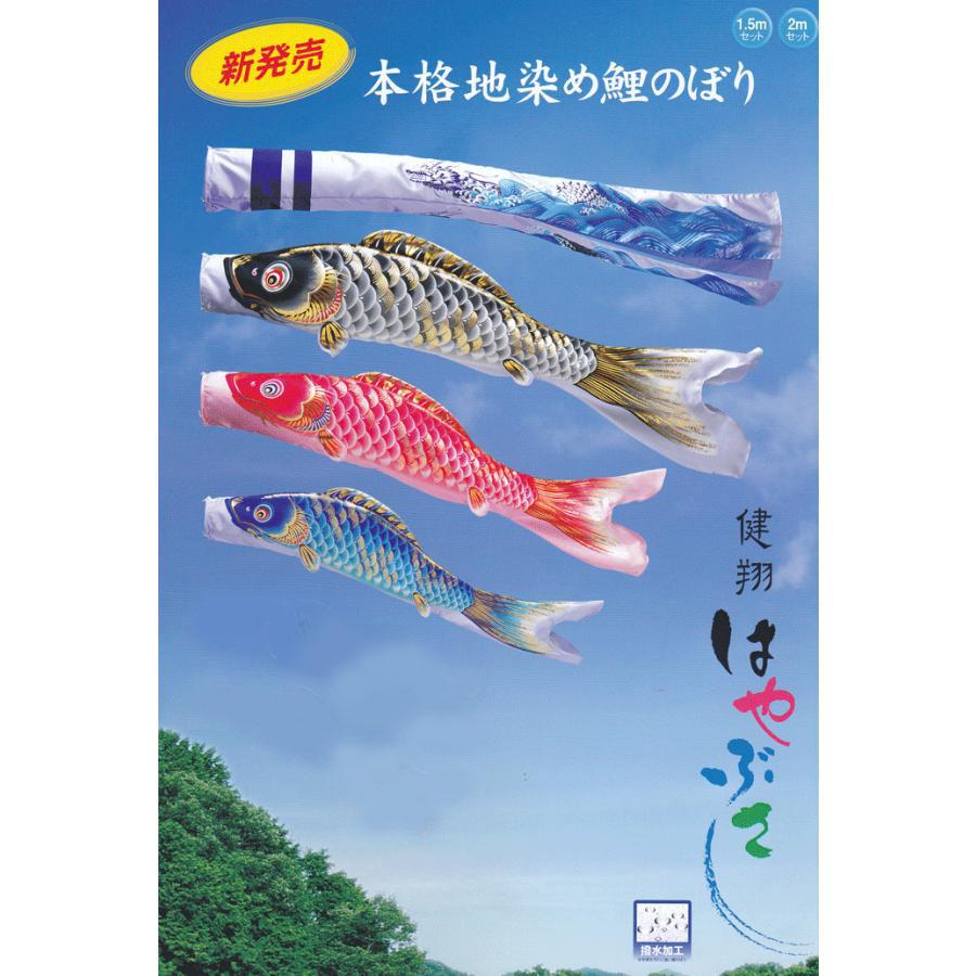 旭天竜 1.5m or 2m 健翔はやぶさ 鯉のぼり 万能スタンドセット