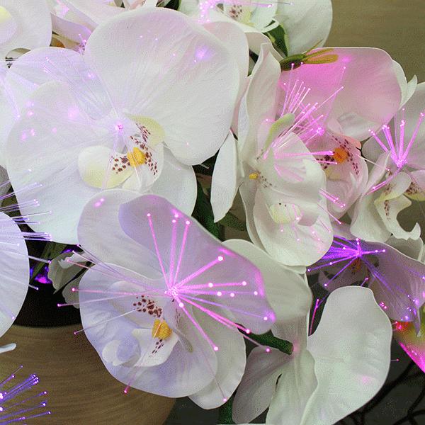 【造花】ルミナスアレンジ 胡蝶蘭 DX 光触媒 LED 盆提灯 インテリア ルミナス アレンジ 胡蝶蘭DX LED 光触媒 盆 法事 蓮華灯 造花