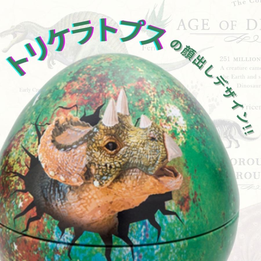 チョコレート ギフト バレンタイン 2025 チョコ 子供 恐竜 松風