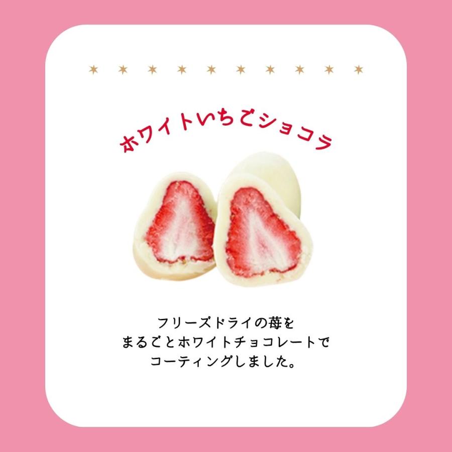 マイネローレン（MeineRollen） バレンタイン 2026 チョコレート