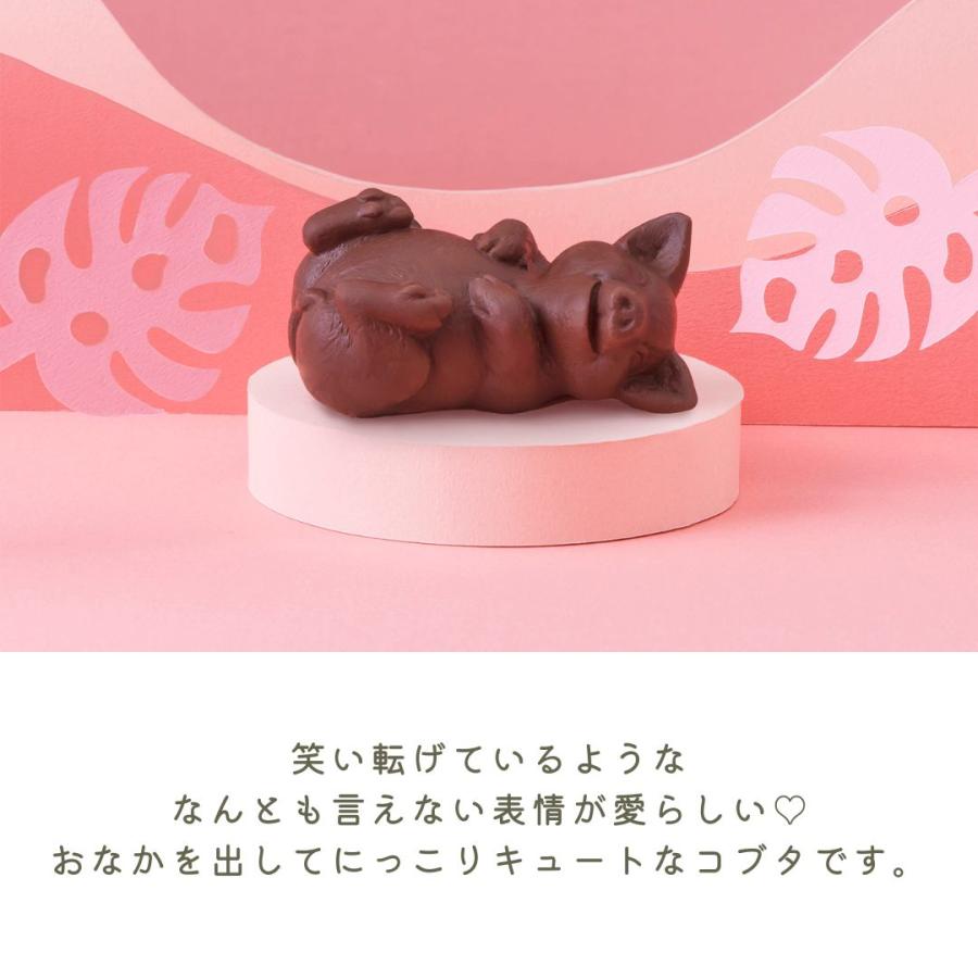 バレンタイン 2026 チョコレート ギフト チョコ ZOOLOGY お菓子