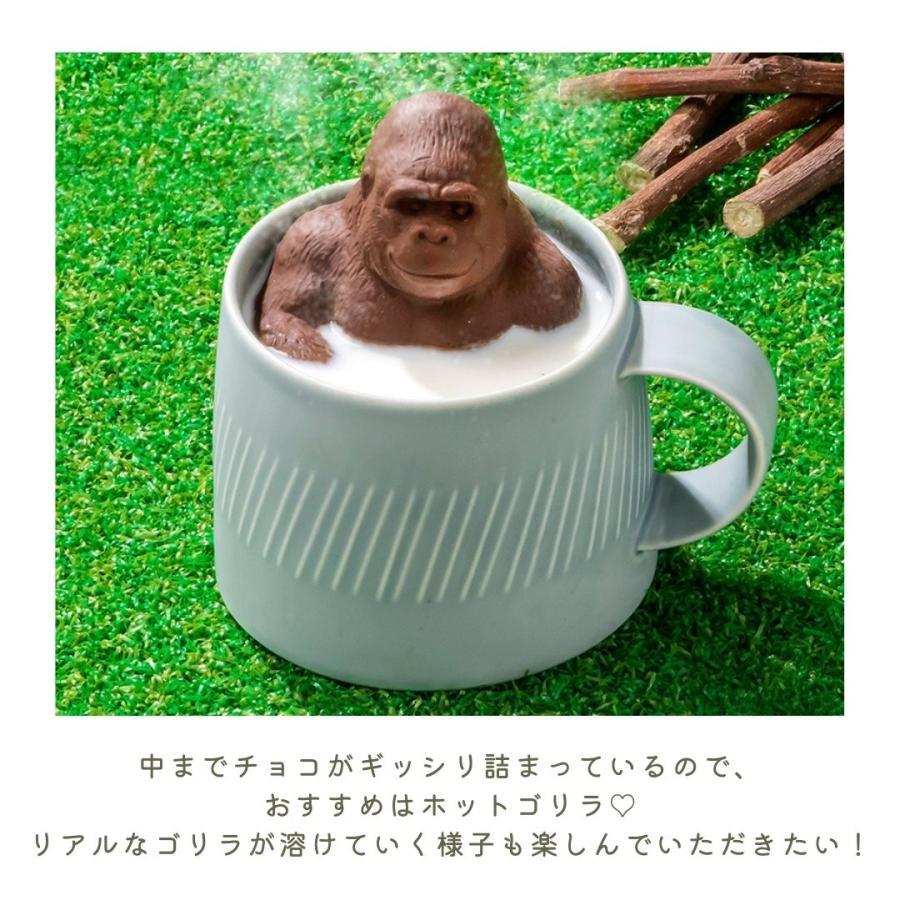 バレンタイン 2026 チョコレート ギフト チョコ ZOOLOGY お菓子