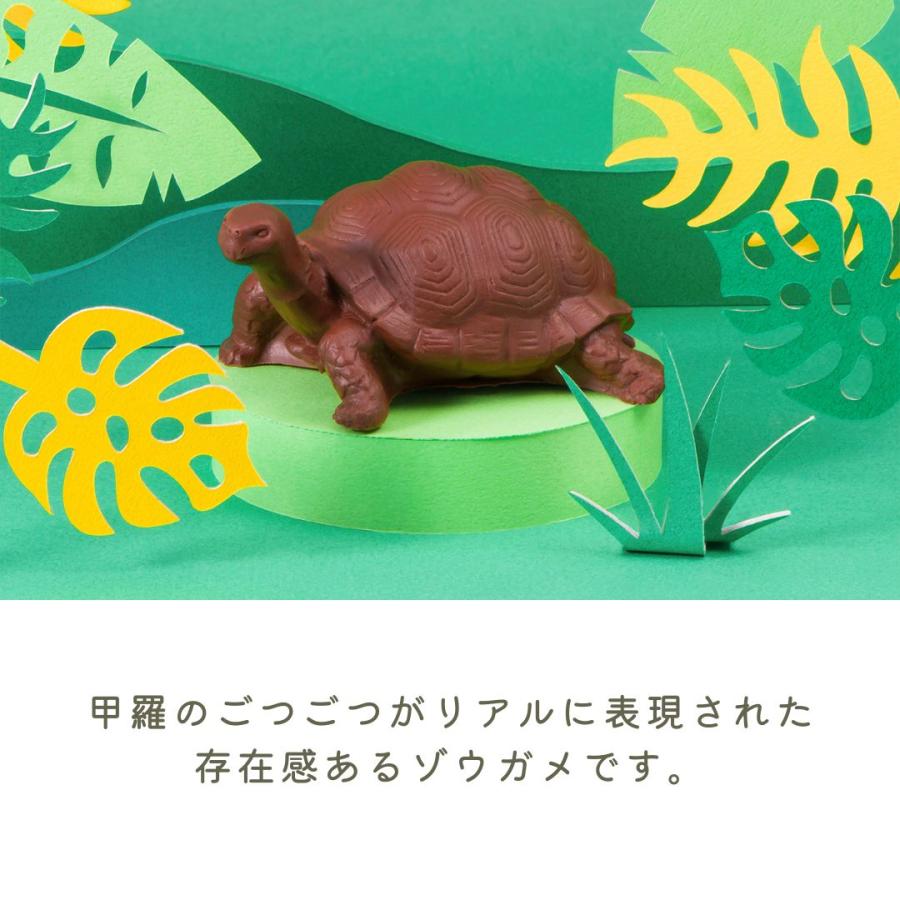 バレンタイン 2026 チョコレート ギフト チョコ ZOOLOGY お菓子