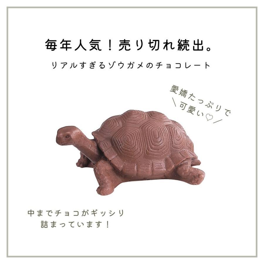 バレンタイン 2026 チョコレート ギフト チョコ ZOOLOGY お菓子