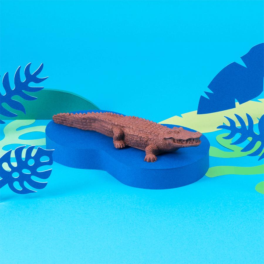 バレンタイン 2026 チョコレート ギフト チョコ ZOOLOGY お菓子