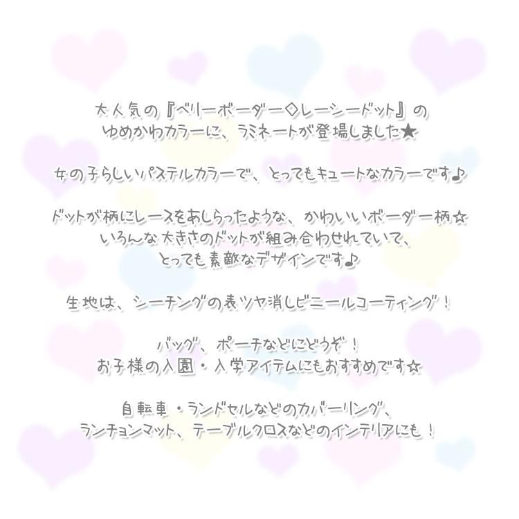 ツヤ消しラミネート ベリーボーダー レーシードット ゆめかわカラー シーチングクロス 服地 布地のマツケ ヤフー店 通販 Yahoo ショッピング