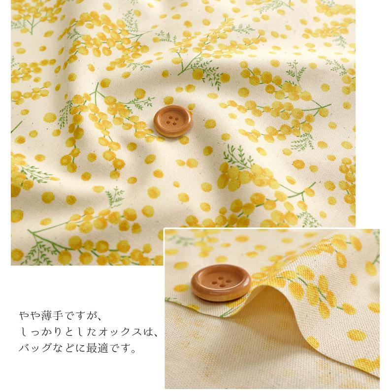 Mimosa Garden（ミモザ ガーデン） オックスプリント