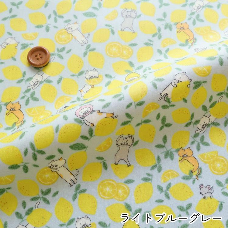 新柄ラミネート　オーダーページです。レモンとネコちゃん 新柄ラミネート オーダーページです。レモンとネコちゃん jp on X