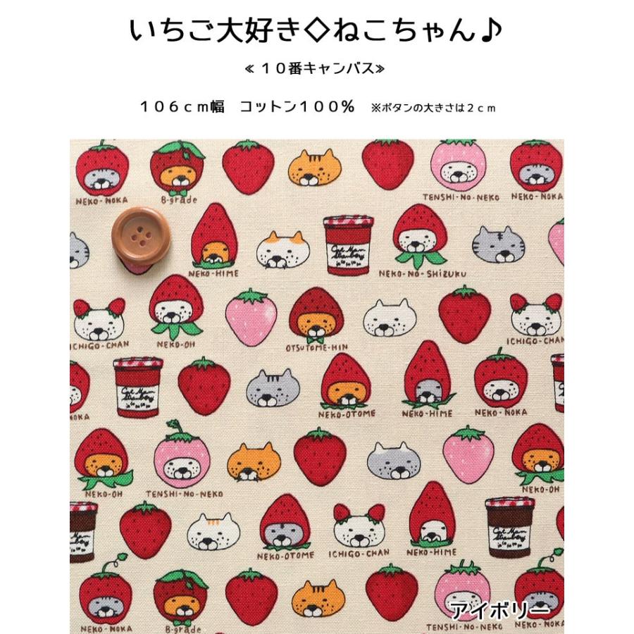 コットンこばやし ☆レシピあります☆いちご大好き◇ねこちゃん 10番